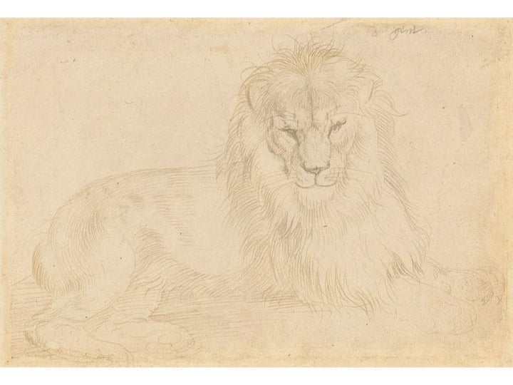 Lion 2