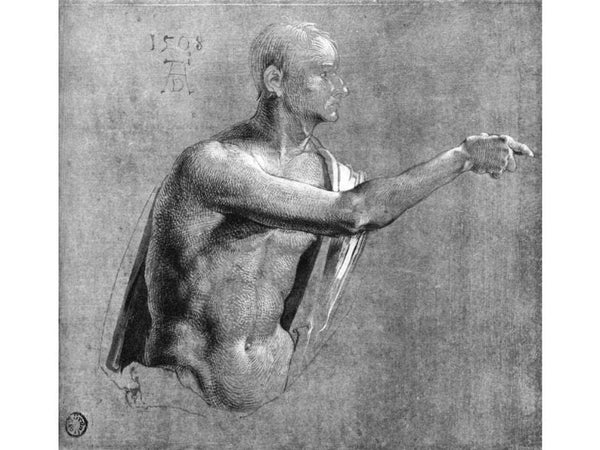 Male Nude, Half Length