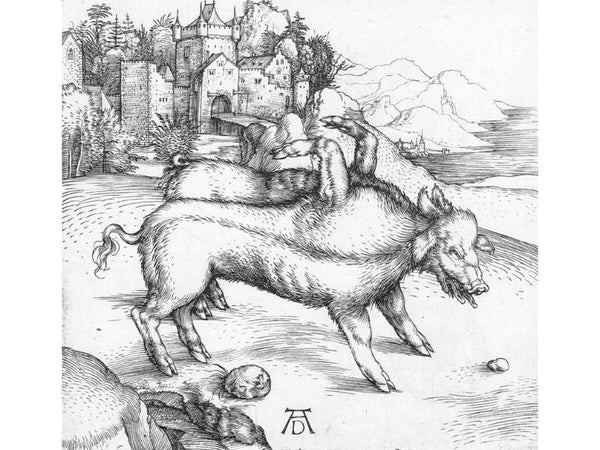 The Deformed Landser Sow
