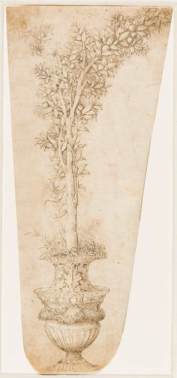 Vase with Orange 