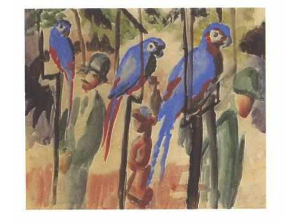 Blue Parrots