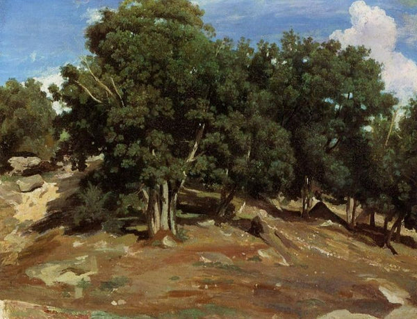 Fontainebleau - Black Oaks of Bas-Breau 