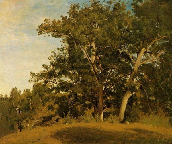 Fountainebleau - Aux Georges d'Apremont 