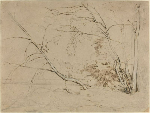 Clump of Trees at Civita Castellana 