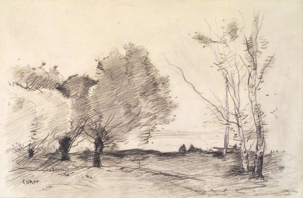 Willows and White Poplars 