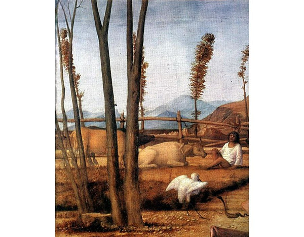 Madonna of the Meadow (detail 1) 1505