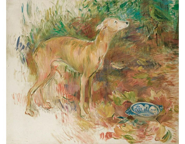 Laerte the Greyhound 1894