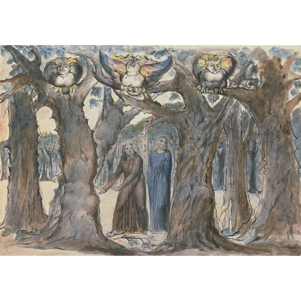 Inferno, Canto XIII, 1-45, The Wood of Self-Violators: The Harpies and the Suicides 
