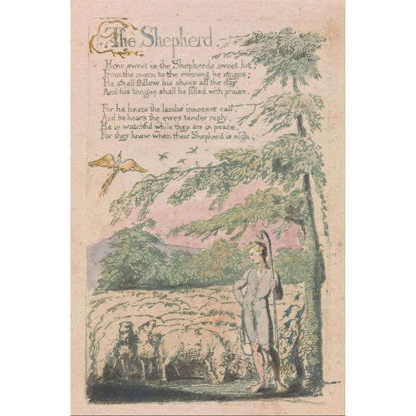 The Shepherd 