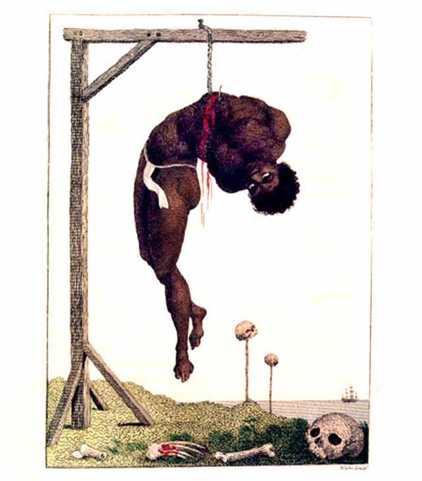 A Negro Hung Alive by the Ribs to a Gallows 