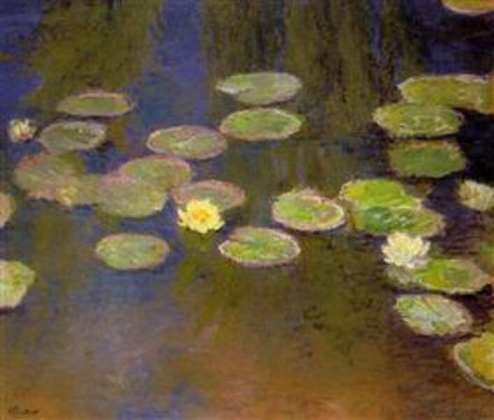 Water-Lilies II 