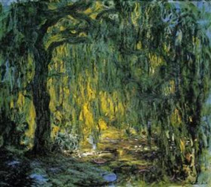 Weeping Willow II 