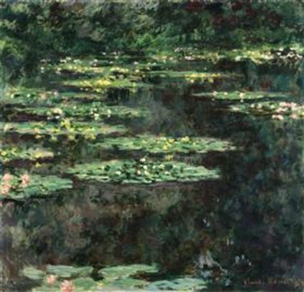 Water Lilies6 