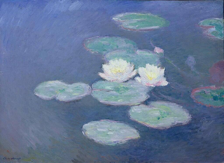 Nympheas (Waterlilies) 