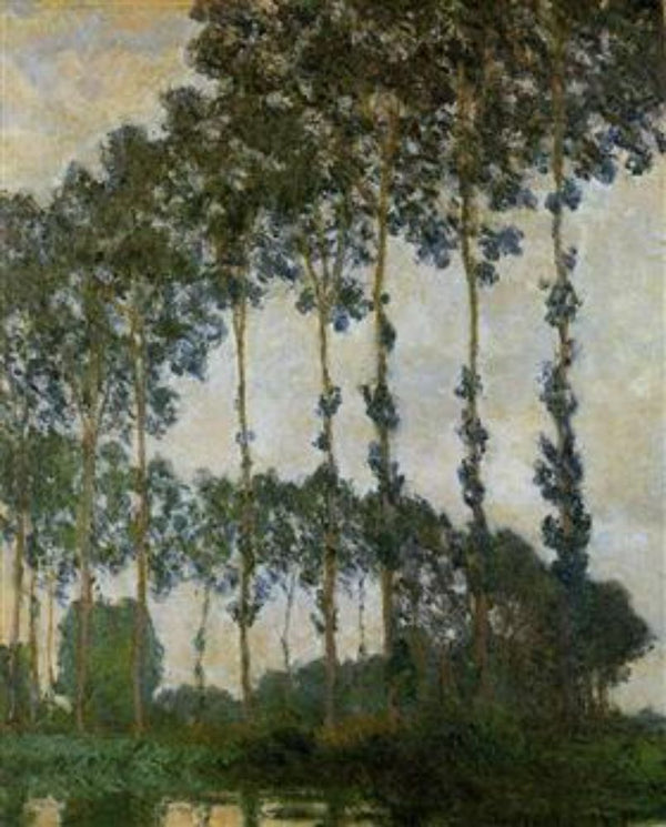 Poplars Near Giverny 