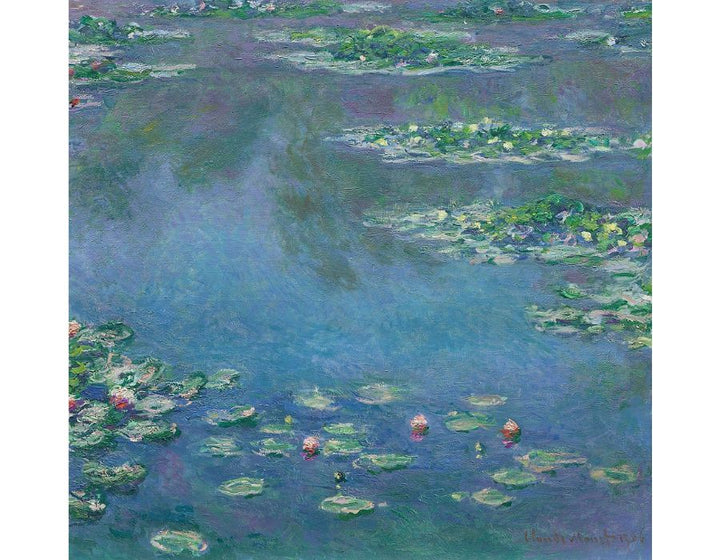 Water-Lilies XV 