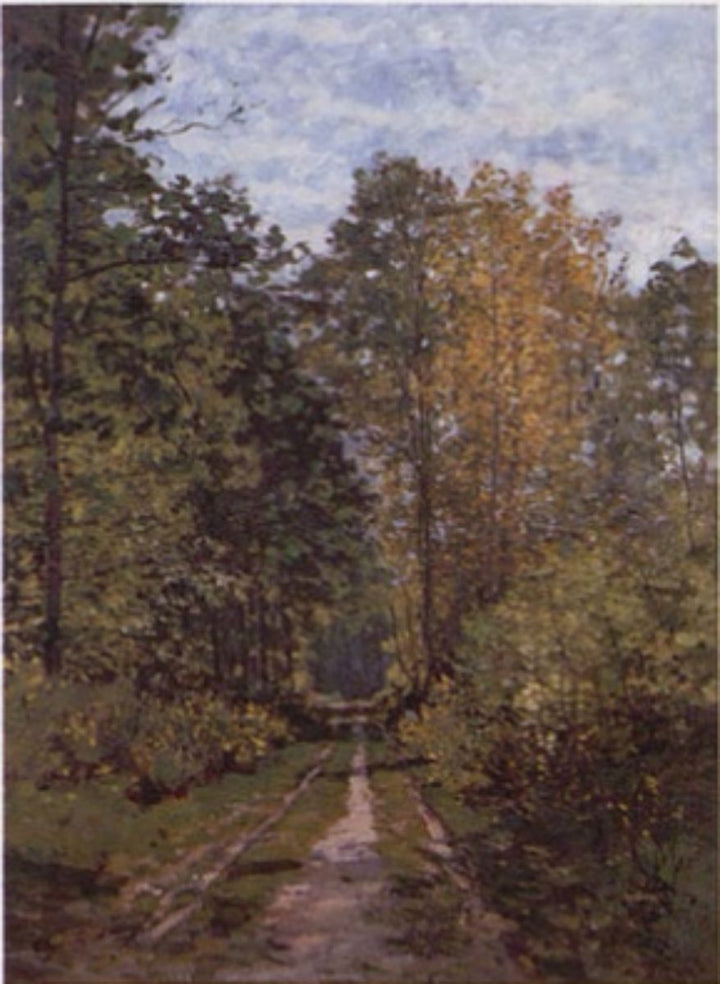 Path In The Forest 