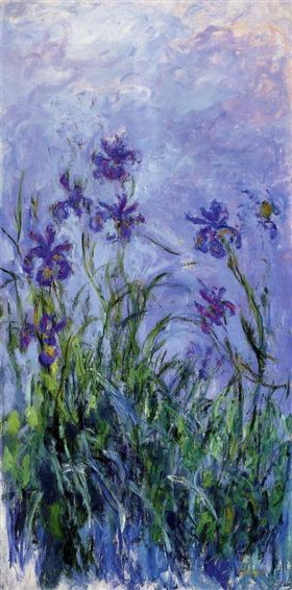 Lilac Irises 2 