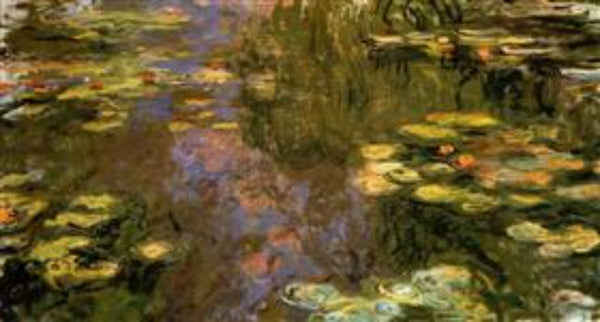 The Water Lily Pond8 