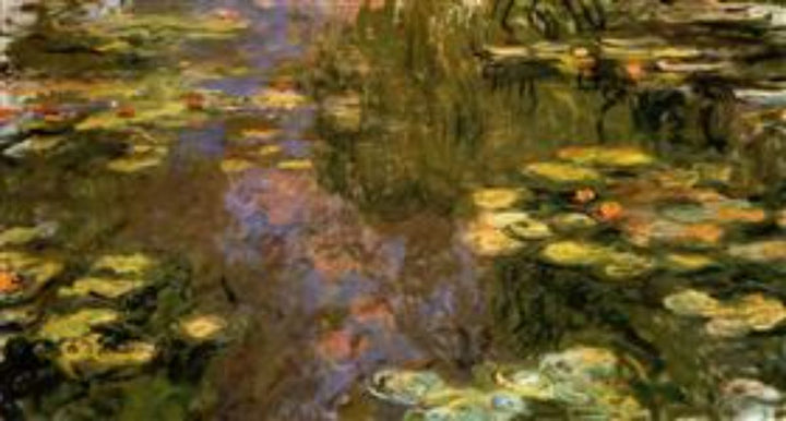 The Water Lily Pond8 