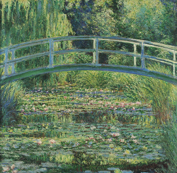 Water Lily Pond 
