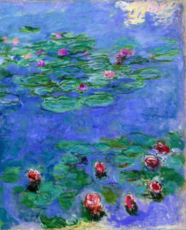 Red Water Lilies 
