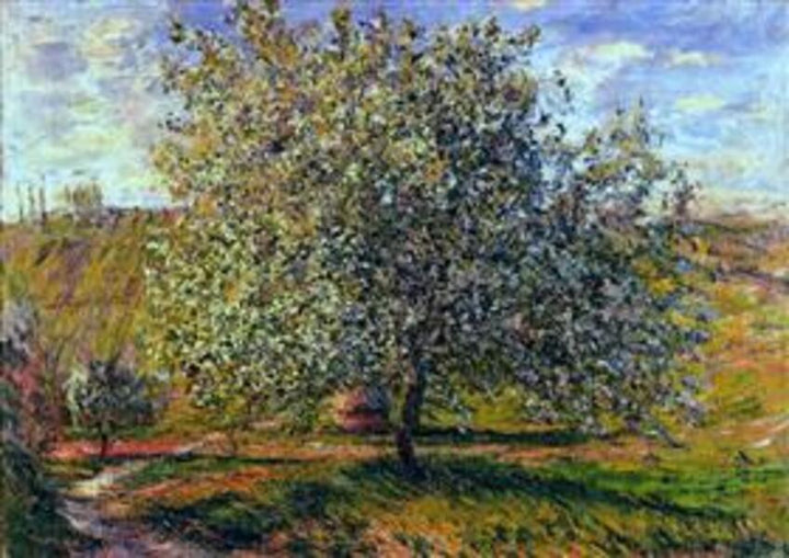 Tree in Flower near Vetheuil 