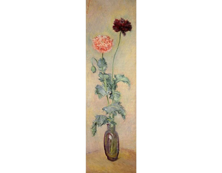 Red And Pink Poppies 