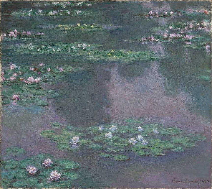 Water-Lilies IX 