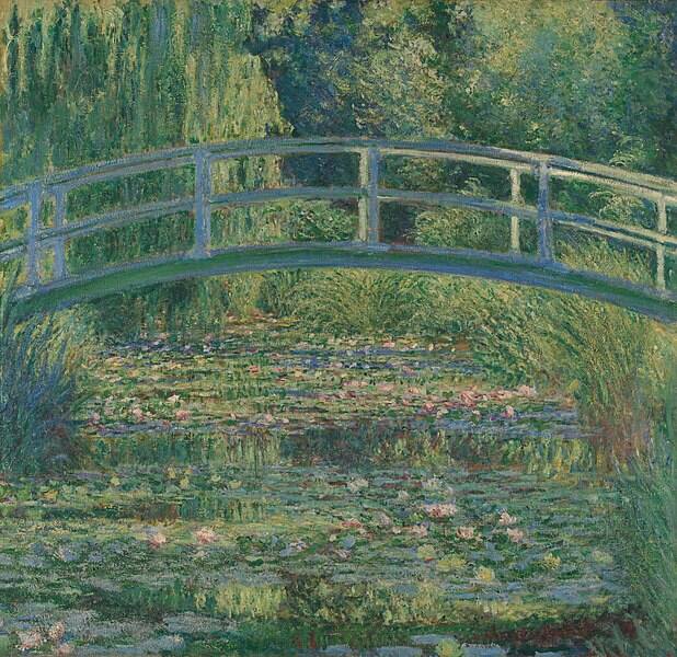 Water Lily Pond2 