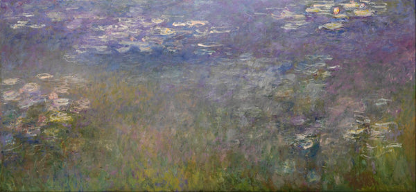 Agapanthus (center panel) 