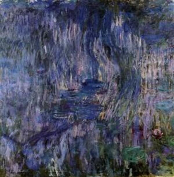 Water Lilies Reflection Of A Weeping Willow61 