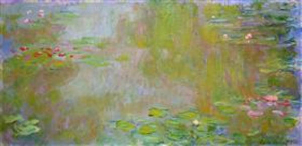 The Water Lily Pond4 