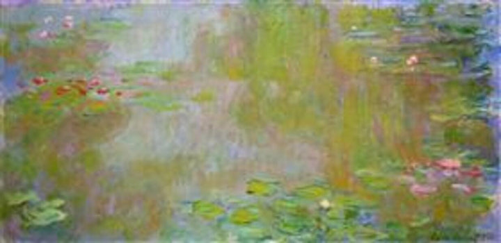The Water Lily Pond4 