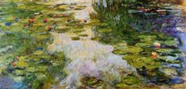 Water Lilies48 