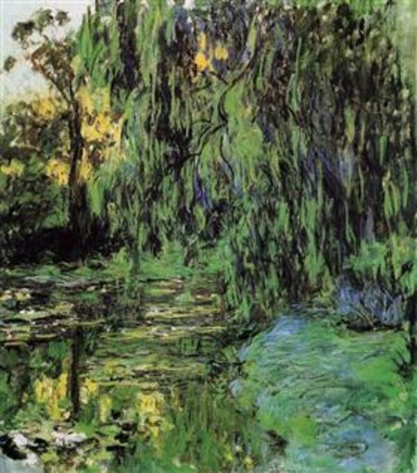 Weeping Willow And Water Lily Pond 