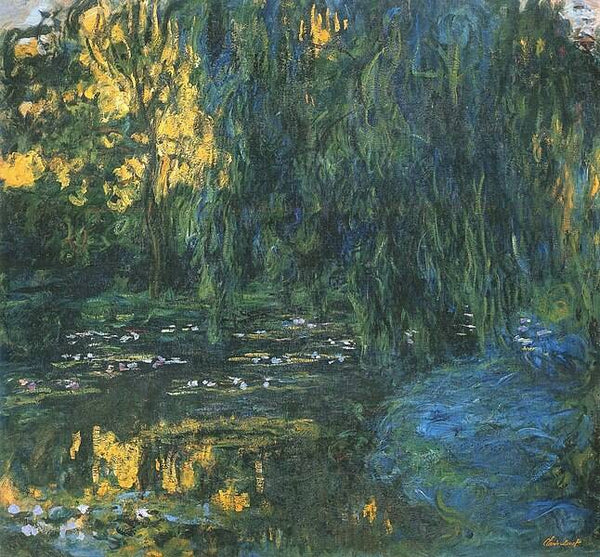 Vue du bassin aux nymphas avec saule 
