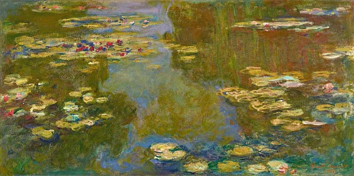 Nympheas (Water Lilies) 