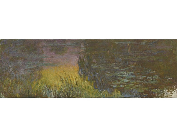 Water Lilies, Sunset 