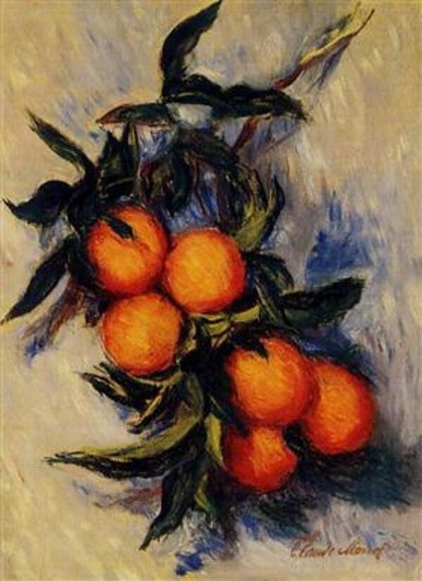 Orange Branch Bearing Fruit 