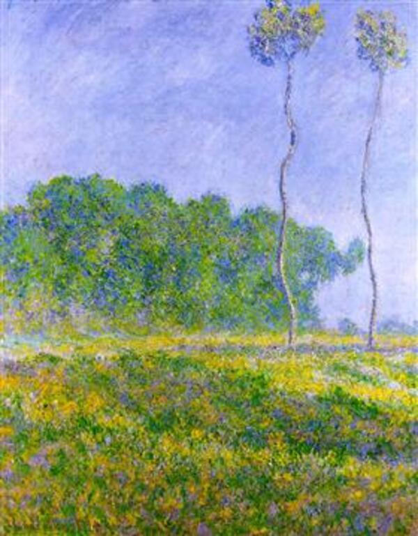 Spring Landscape 