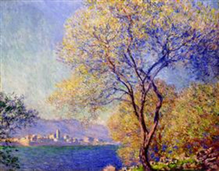 Antibes Seen From The Salis Gardens2 