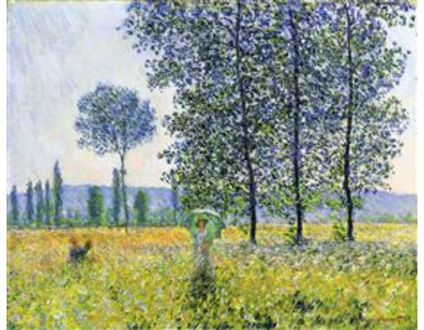 Sunlight Effect Under The Poplars 