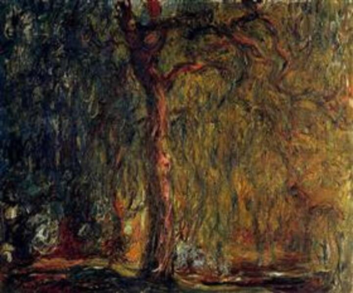 Weeping Willow VI 
