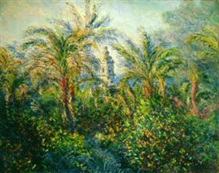 Garden In Bordighera Morning Effect 