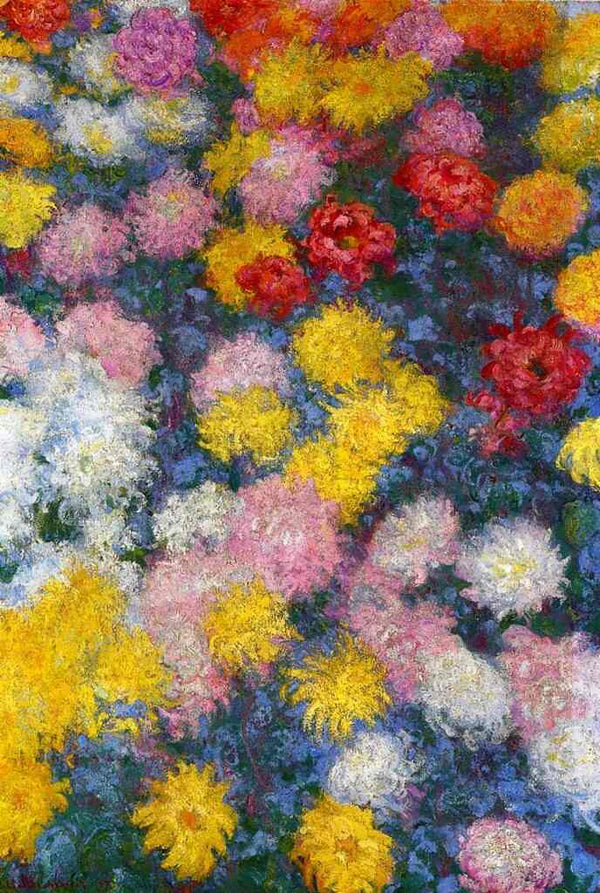 Chrysanthemums3 