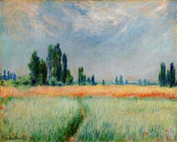The Wheat Field 