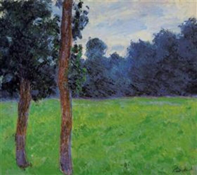 Two Trees In A Meadow 