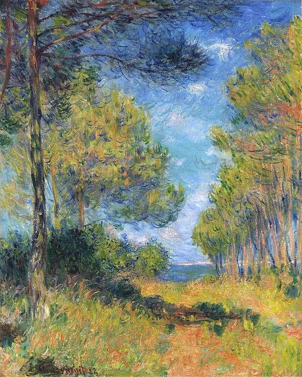 Allee de sapins AA  Varengeville 
