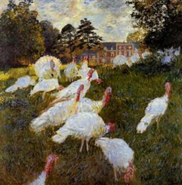 The Turkeys 